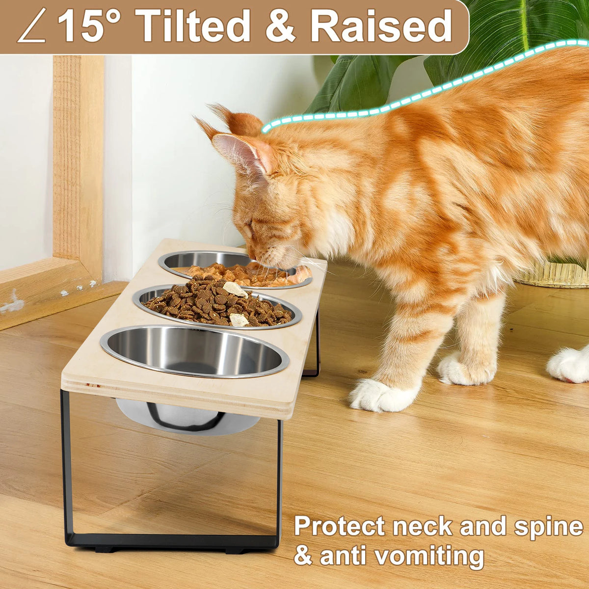 Cat eating from the stand, tilted 15 degrees