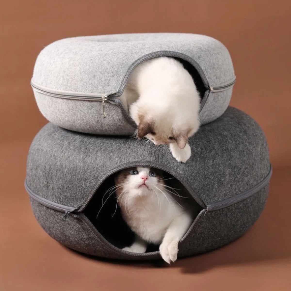 Two caves stacked with cats playing in both