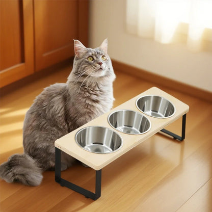 Grey cat sitting beside the raised triple bowl stand