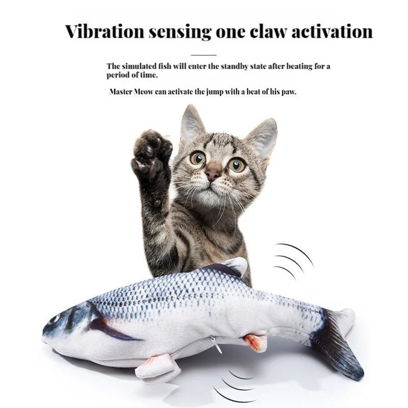 A paw tap wakes the fish up