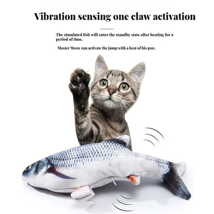 A paw tap wakes the fish up