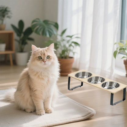 Fluffy cat next to the bowl stand in a bright room
