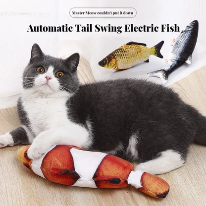 Cat hugging the plush fish toy