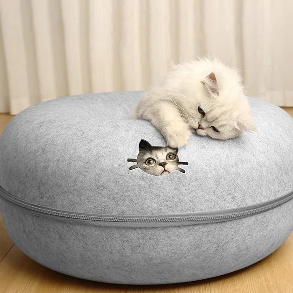Kitten resting on the light grey cave, peeking through the top hole