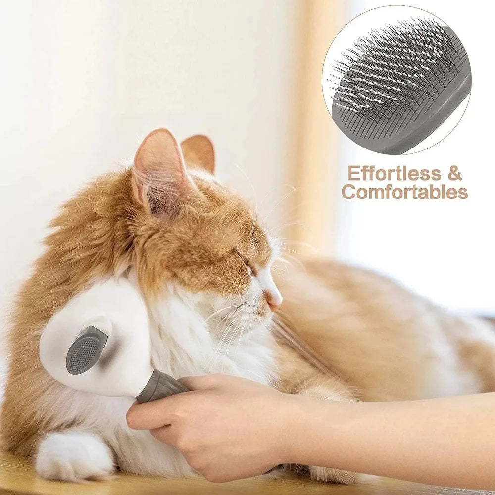 Brushing a relaxed ginger cat