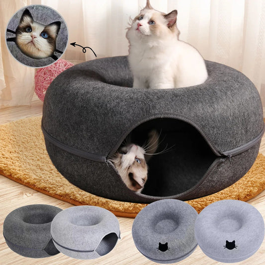 Cat on top of the felt donut cave with another cat inside