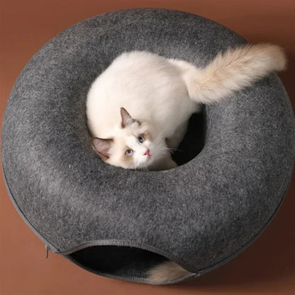 Cat curled up in the centre of the dark grey cave