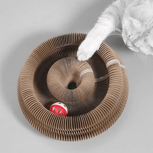 Cat pawing at the bell ball inside the shape-shifting cardboard scratcher
