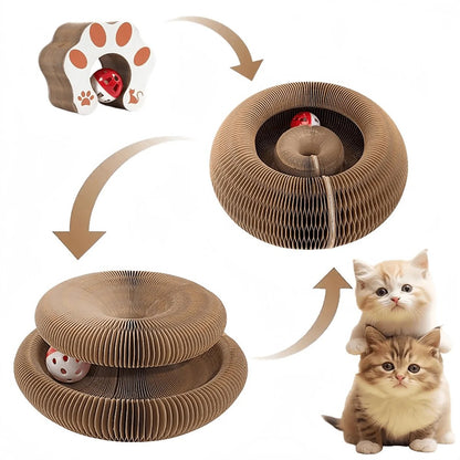 The scratcher folding from a flat block into a ring and a stacked double-decker