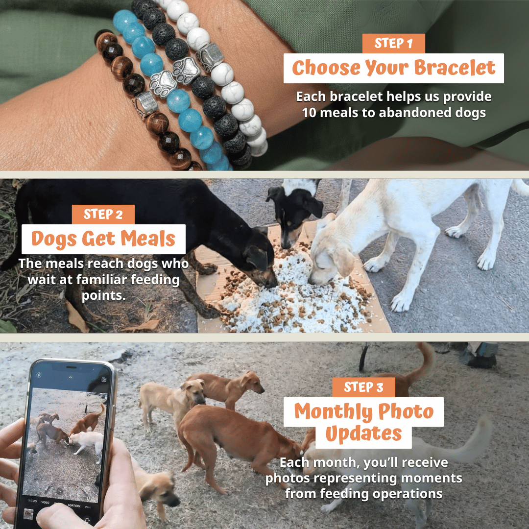 Devotion Rope Bracelet