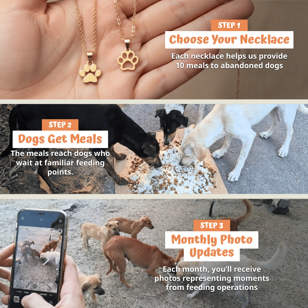 Gentle Paw Necklace